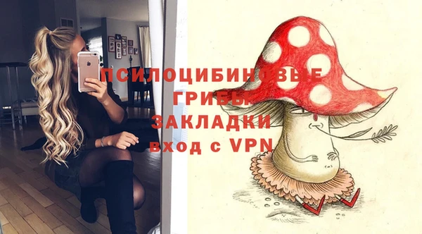 мет Арсеньев