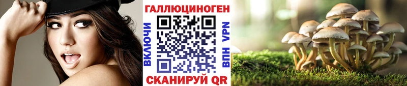 Псилоцибиновые грибы MAGIC MUSHROOMS  Гай 